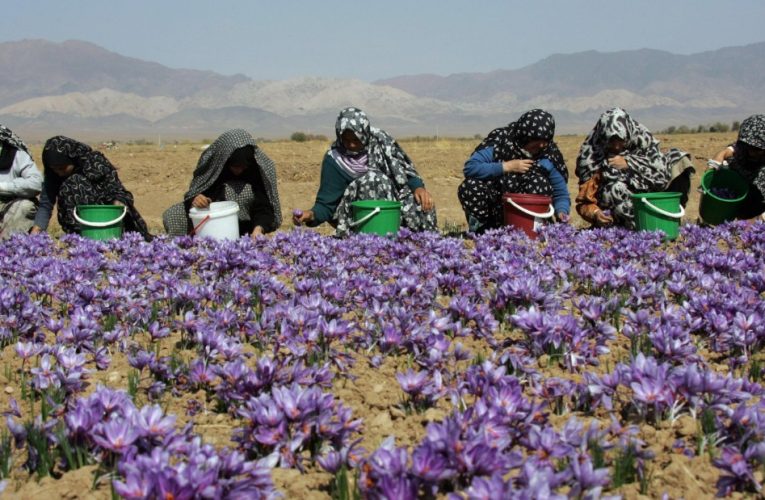 Iran Fast Facts