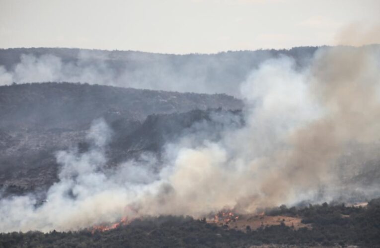 Syria executes 24 people charged with lighting wildfires