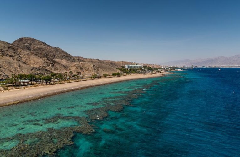 Black Sea urchins have disappeared from the Gulf of Aqaba. Their loss could kill off an entire coral reef