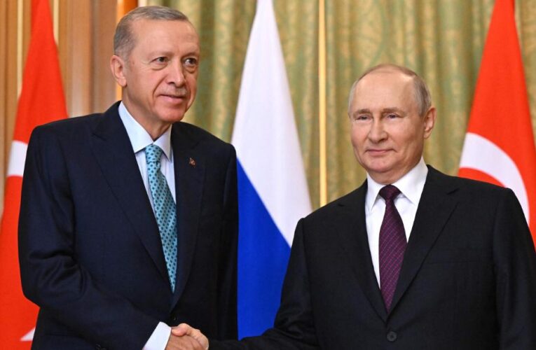 Putin and Erdogan meet to discuss grain deal amid ‘shifting power balance’