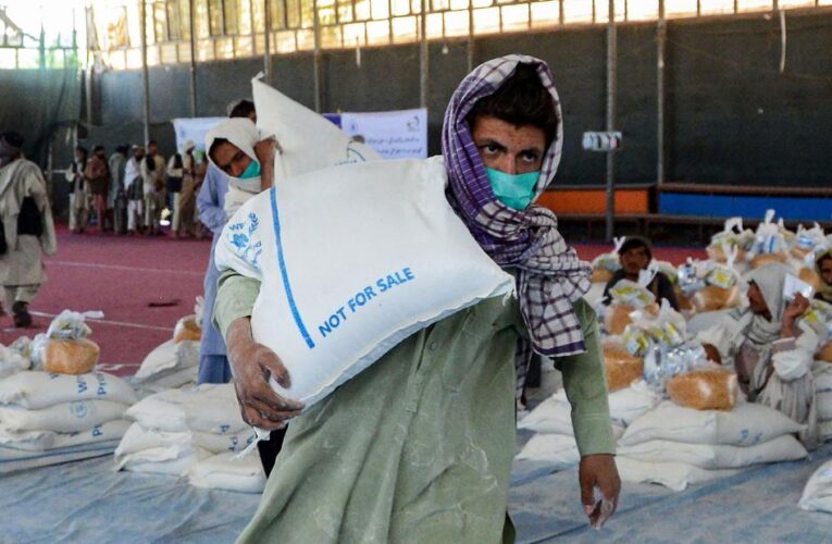 UN forced to cut food assistance from 10 million people