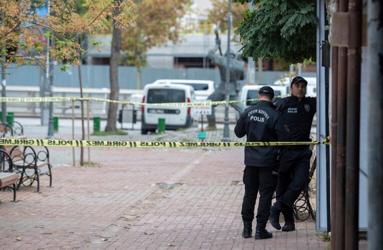 Turkey launches airstrikes against Kurdish militants following deadly Ankara blast