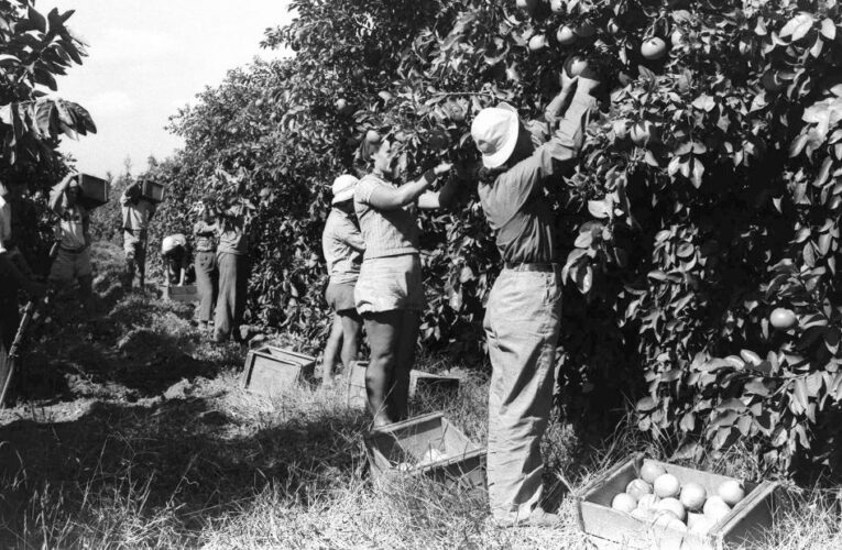What is a kibbutz? A brief history of the communes targeted in the Hamas terror attack