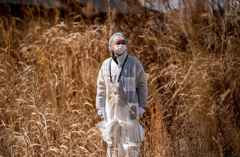 Despite Nuclear Meltdown in Fukushima No Evidence if Radiation – UN