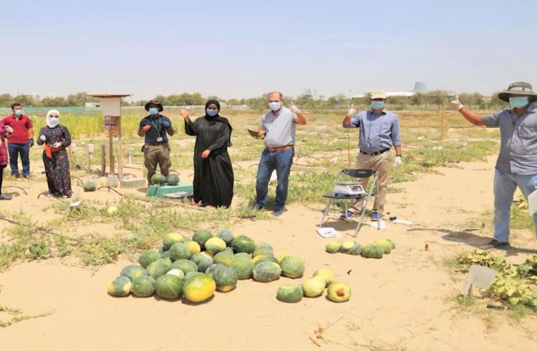 شركة قد تساعد بتحويل الصحراء إلى تربة صالحة للزراعة.. وتجاربها في دبي
