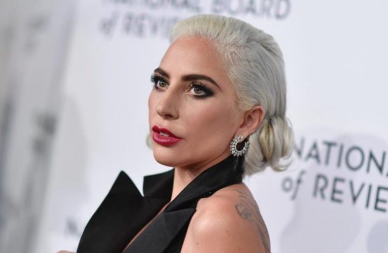 ليدي غاغا تعرض نصف مليون دولار لمن يعيد كلبيها بعد سرقتهما خلال إطلاق نار