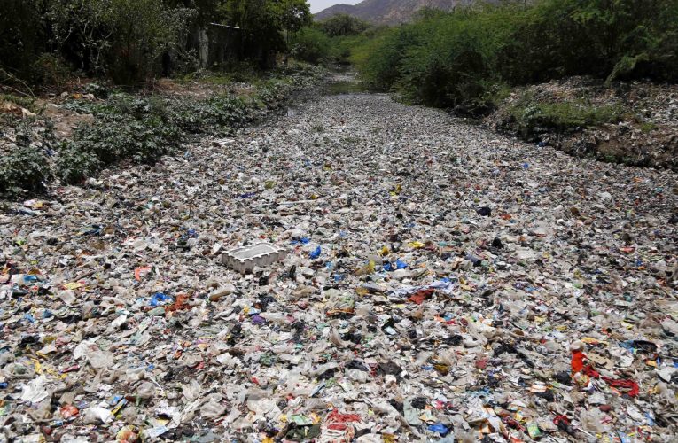 بـ5 خطوات.. كيف تقلل من نفاياتك المنزلية بطريقة اقتصادية؟