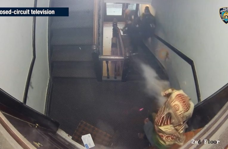 لحظة تعرض ضابطي شرطة لإطلاق نار من مسافة قريبة.. كيف نجيا؟