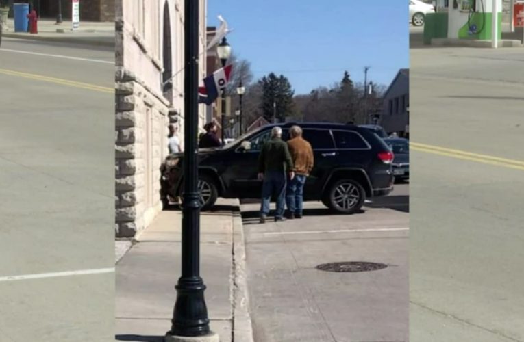 شاهد.. كلب يقود سيارة “جيب” ويتسبب بحادث سير