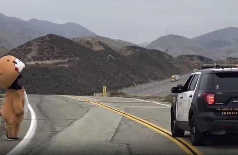 شاهد.. دمية دب تسير في شوارع كاليفورنيا.. لماذا؟