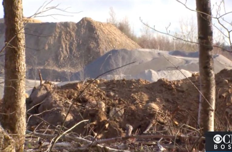 حفلة كشف جنس جنين تتحول إلى كابوس.. شاهد ما حدث لـ36 كيلوغرامًا من المتفجرات