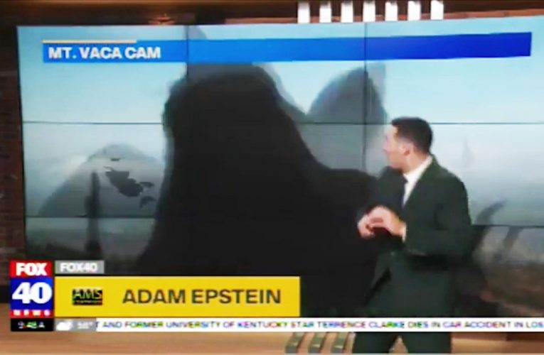 مذيع أحوال جوية يفزع فجأة في بث مباشر.. ما السبب؟