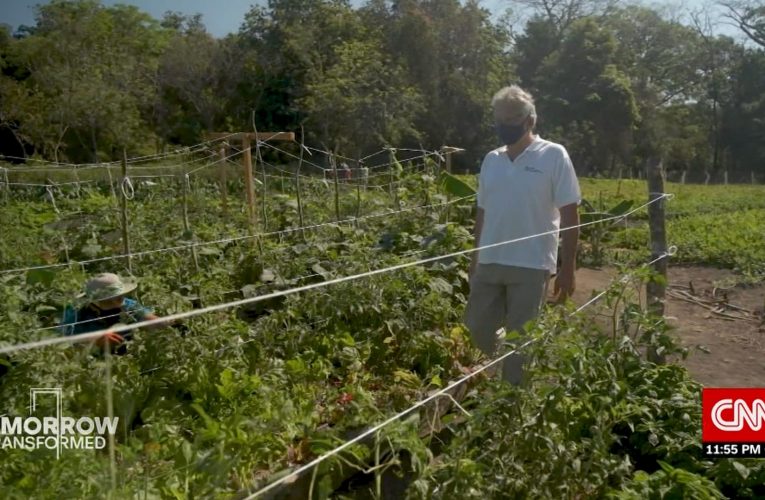 كيف استغلت كوستاريكا جائحة كورونا لتطبيق الزراعة المتجددة؟