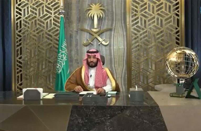 ولي عهد السعودية يبين دور صندوق الاستثمارات العامة بالتنمية الأفريقية