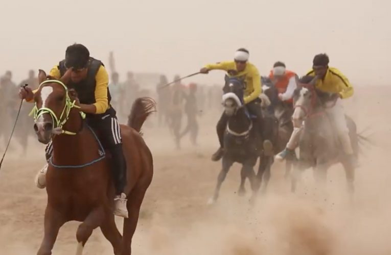 مسابقة للخيول العربية الأصيلة بمشاركة 125 جوادا في القامشلي