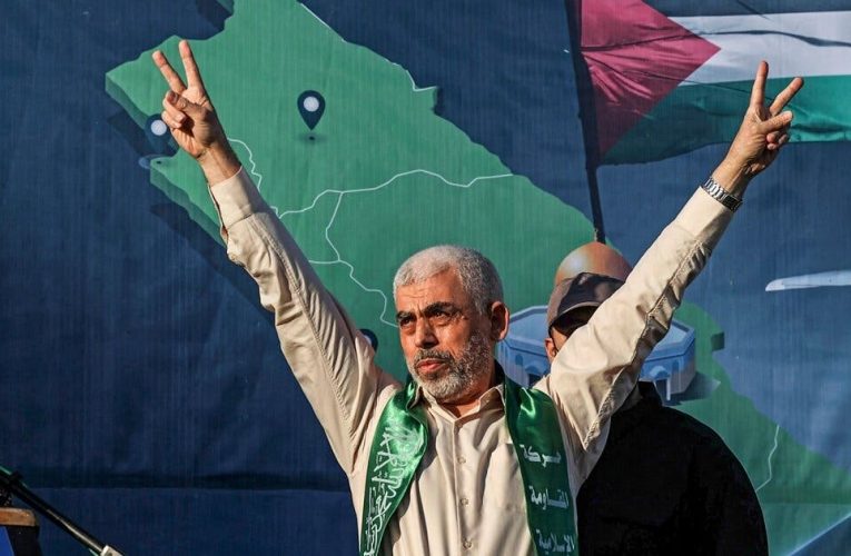 السنوار والرقم 1111.. آمال تملأ مواقع التواصل بشأن القضية الفلسطينية