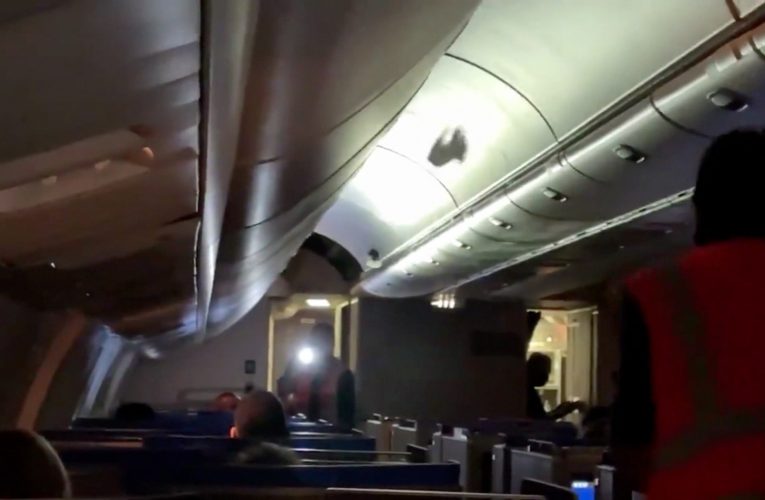 شاهد.. تأخر رحلة جوية بسبب مطاردة طيور تسللت داخل مقصورة طائرة ركاب