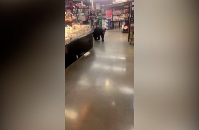مشهد صادم.. دب يتجول في سوبرماركت بحثًا عن طعام وسط ذهول المتسوقين