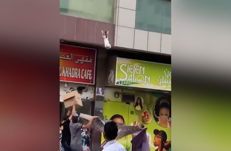 تداول فيديو لإنقاذ قطة في دبي.. ومحمد بن راشد يعلق