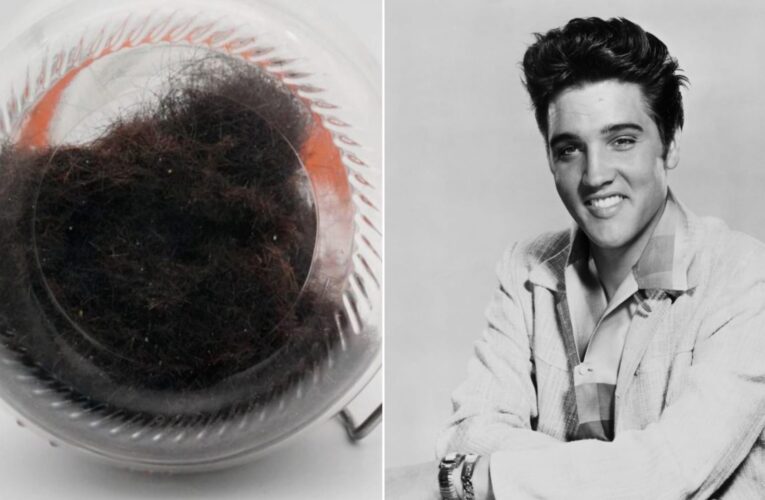 بيع شعر إلفيس بريسلي في مزاد علني.. كم وصل سعره؟