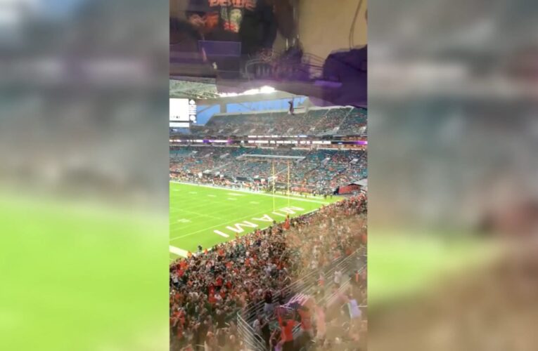 شاهد.. قطة تسقط من قمة استاد على المدرجات والجمهور ينقذها