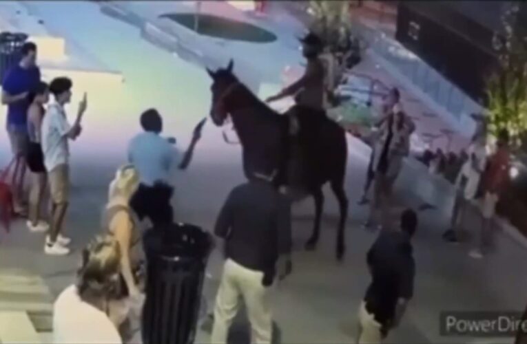 مواجهة غريبة بين شرطي أمريكي ورجل يرفض الترجل عن حصان.. شاهد ما حدث