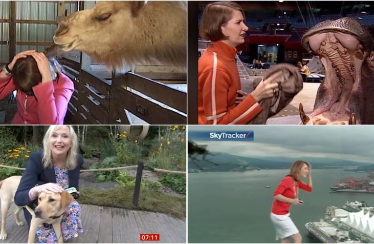 كلبة تجر مراسلة وتسقطها على وجهها في بث مباشر.. شاهد ما حدث