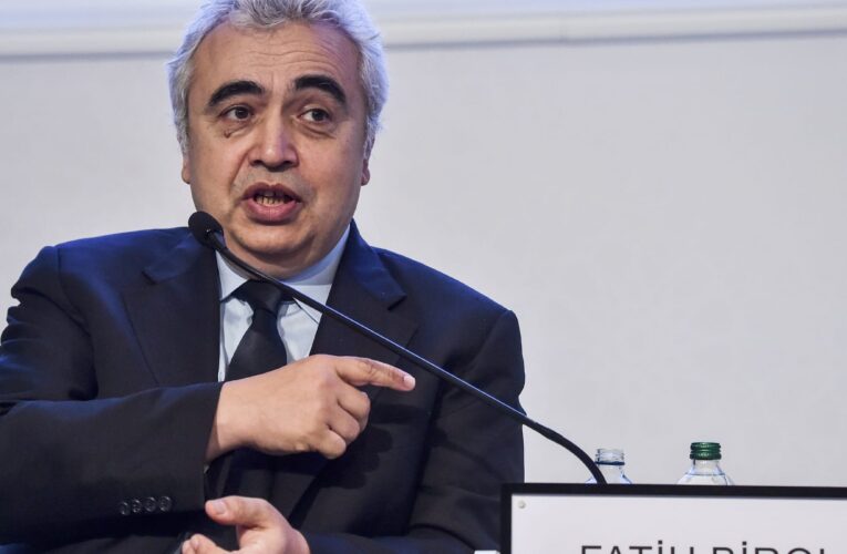 وكالة الطاقة الدولية تحث روسيا على تزويد أوروبا بمزيد من الغاز