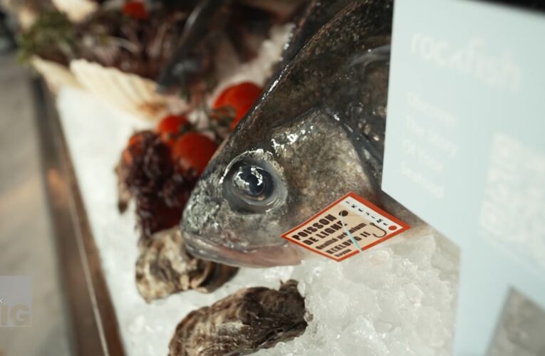 لمنع الاحتيال.. سوق إلكتروني يتتبع رحلة الأسماك التي تشتريها منذ لحظة اصطيادها