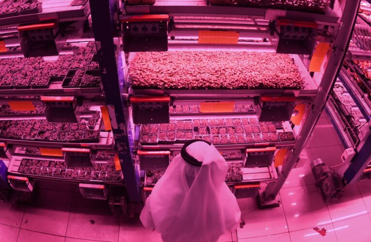 بين السعودية والإمارات وقطر.. من تصدر الدول العربية بمؤشر الابتكار 2021؟