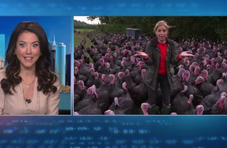 شاهد.. مراسلة تتلقى “تحية” من الديوك الرومية عبر بث تلفزيوني مباشر