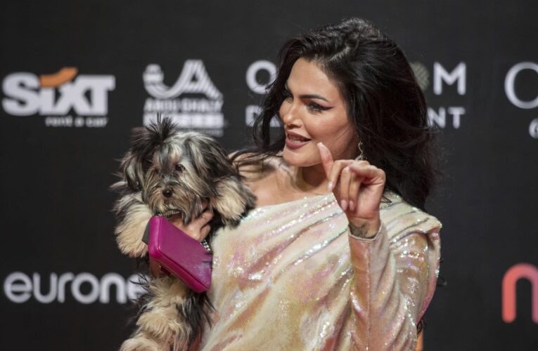 دارين حداد تصطحب كلبها إلى مهرجان الجونة وتخطف عدسات الكاميرات