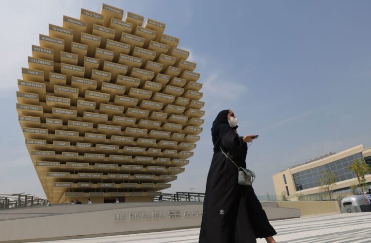 مقارنة بين نسبة الذكور والإناث في نشاط ريادة الأعمال في الدول العربية