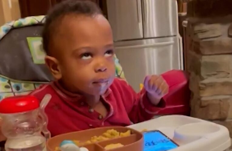 ارتجف بشدة.. تلذذ طفل بتناول فطيرة يقطين لأول مرة يلقى رواجًا كبيرًا