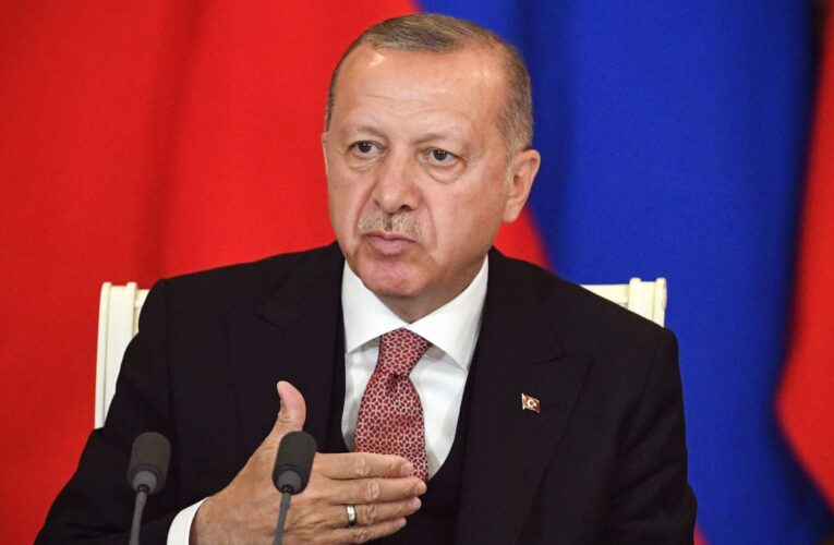 أردوغان يأمر بتعيين وزير جديد للخزانة والمالية.. من هو نورالدين نباتي؟