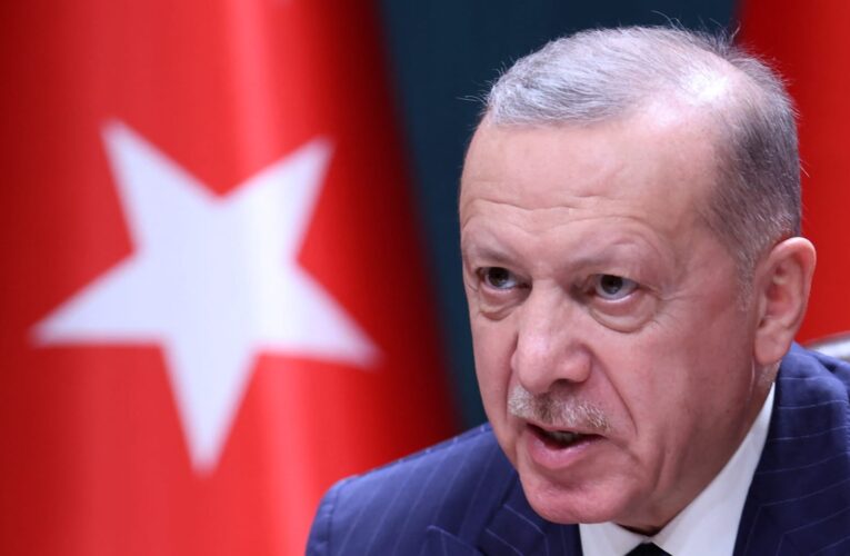 أردوغان: تركيا ليس لديها النية إلى التراجع عن اقتصاد السوق الحرة
