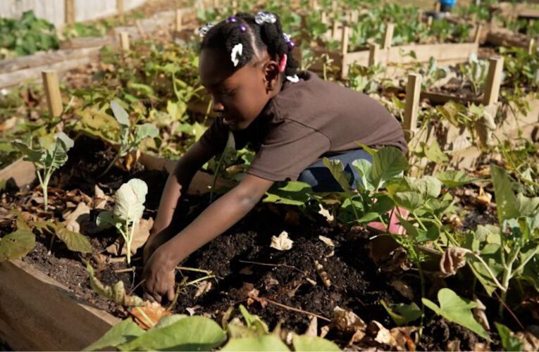 تعرف على المزارعة المحترفة المعتمدة البالغة من العمر 6 سنوات