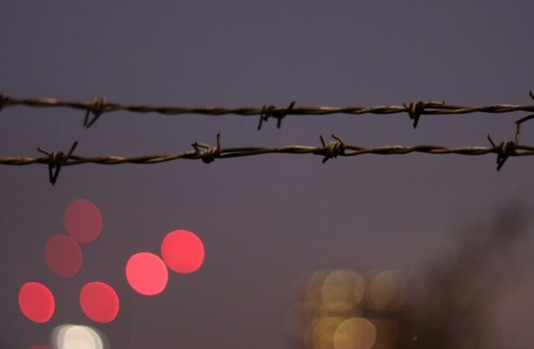 أطفال النطف المهربة .. دولة تحارب طفلًا لم يولد بعد