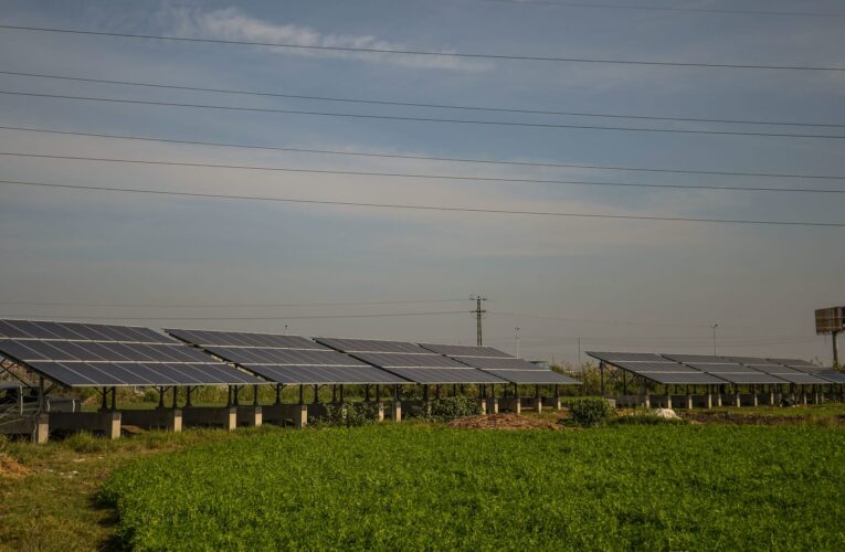 مصر.. مستثمرون يطالبون بإلغاء رسوم استيراد ألواح الطاقة الشمسية