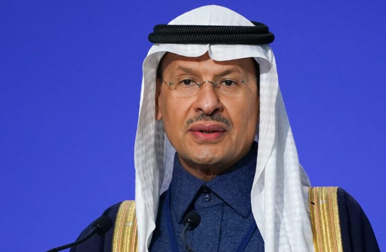 برفقة الملك سلمان.. وزير الطاقة السعودي يروي قصة زيارة إلى تونس