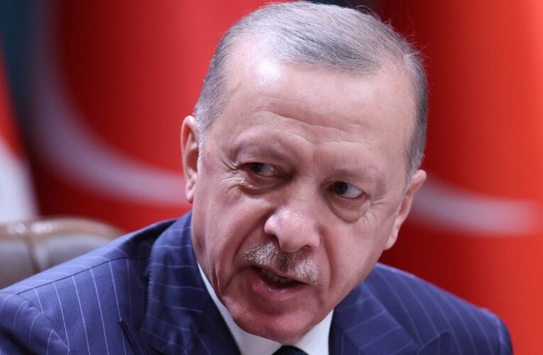 أردوغان يرد على من يروّج بأن تركيا “دولة تشتري الطماطم عبر بيع مصانعها”