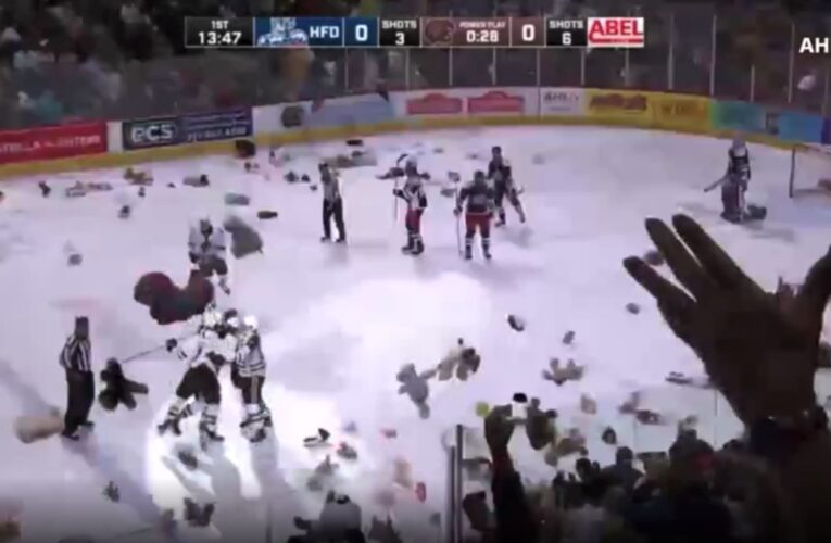 “السماء تمطر دببة”.. 52 ألف دمية تتساقط على مباراة هوكي في بنسلفانيا