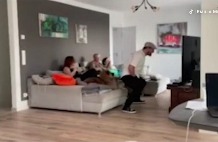 مدرب يصرخ على التلفاز بعد تهميشه بسبب كورونا.. شاهد كيف جعله كلبه يهدأ