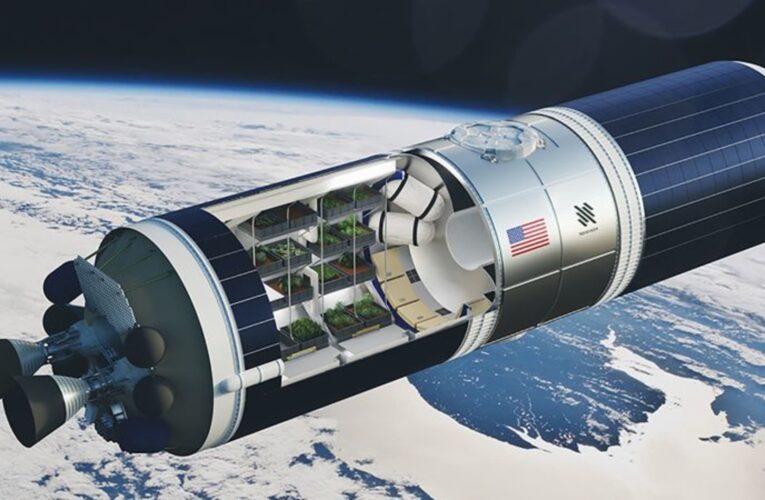 شركة ناشئة في أبوظبي تخطط لإرسال بذور الكينوا إلى الفضاء.. لماذا؟