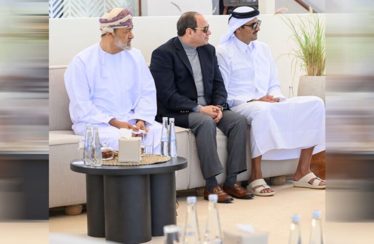 جزمة السيسي تثير تكهنات عن سعرها ونوعها بعد تداول صور اجتماع أبوظبي