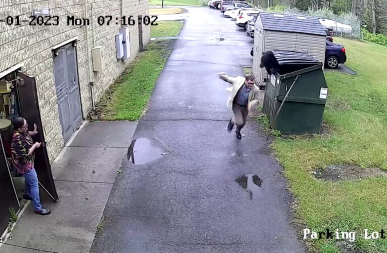 تفاجأ كلاهما بالآخر.. كاميرا رصدت دبًا يخرج من حاوية مدرسة في وجه المدير