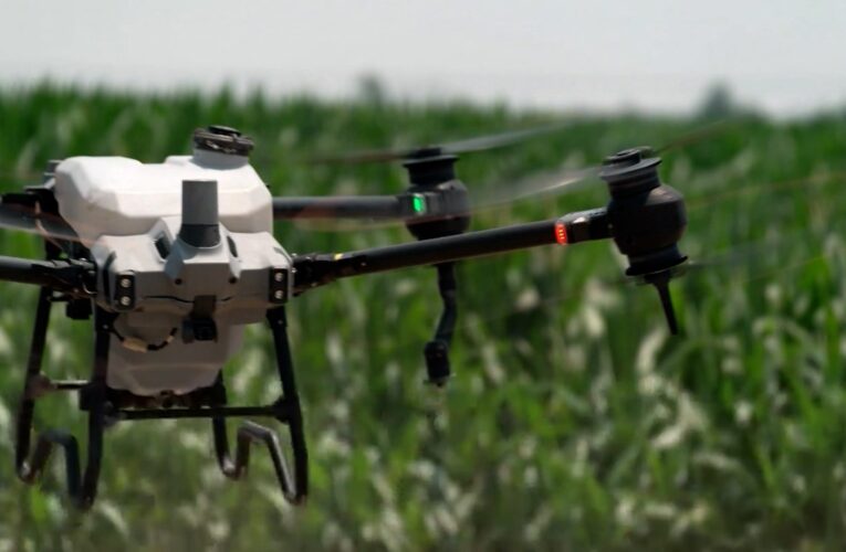 تكنولوجيا طائرات “درون” والذكاء الاصطناعي تُحدث تغييرًا بمجال الزراعة.. كيف يتم ذلك؟