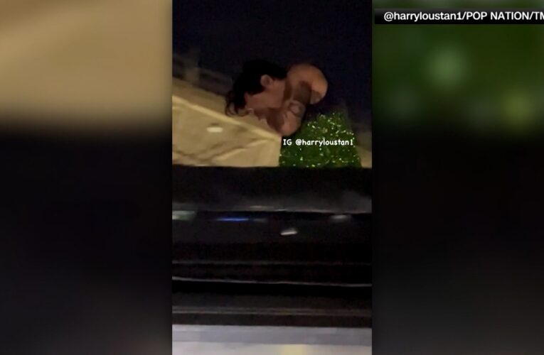 رمية أصابت عينه.. شاهد لحظة رشق هاري ستايلز بشيء في حفلة بالنمسا