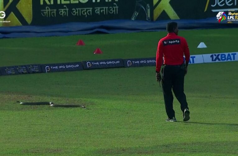 فاجأت اللاعبين وأوقفت المنافسة.. شاهد أفعى ضخمة تعطّل مباراة كريكت وتتجول في الملعب