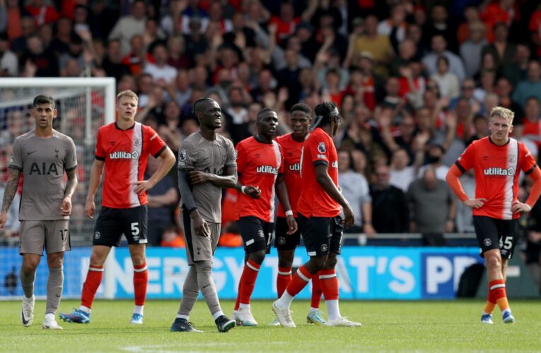وسط الجماهير.. كلب يخطف الأنظار لدى حضوره مباراة توتنهام ولوتون تاون